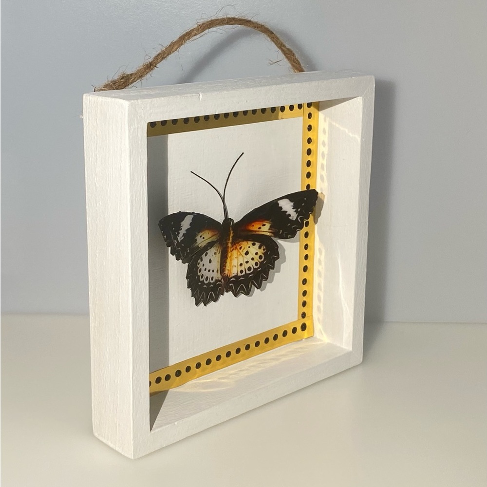 Butterfly Shadow Box - Picture 2 of 4